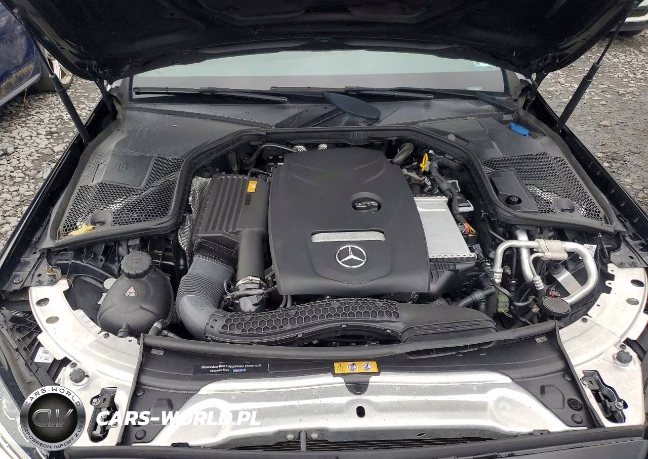 2018 Mercedes-Benz C 300 4Matic VIN:55SWF4KB8JU262249 - 11
