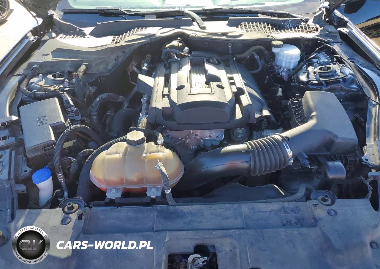 2020 Ford Mustang VIN:1FA6P8TH8L5124889 - 11