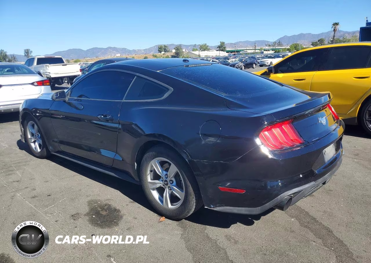 2020 Ford Mustang VIN:1FA6P8TH8L5124889 - 2
