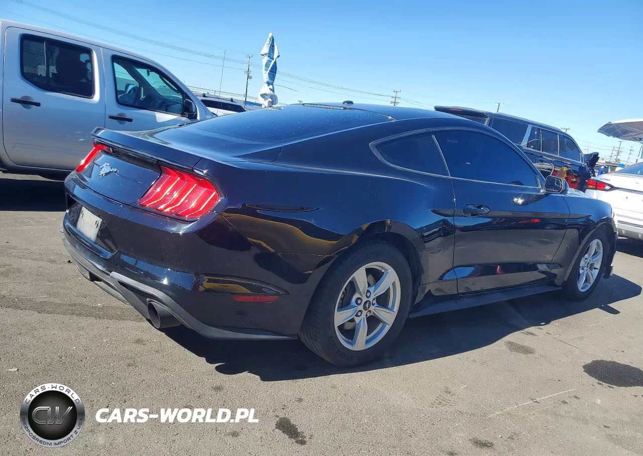 2020 Ford Mustang VIN:1FA6P8TH8L5124889 - 3