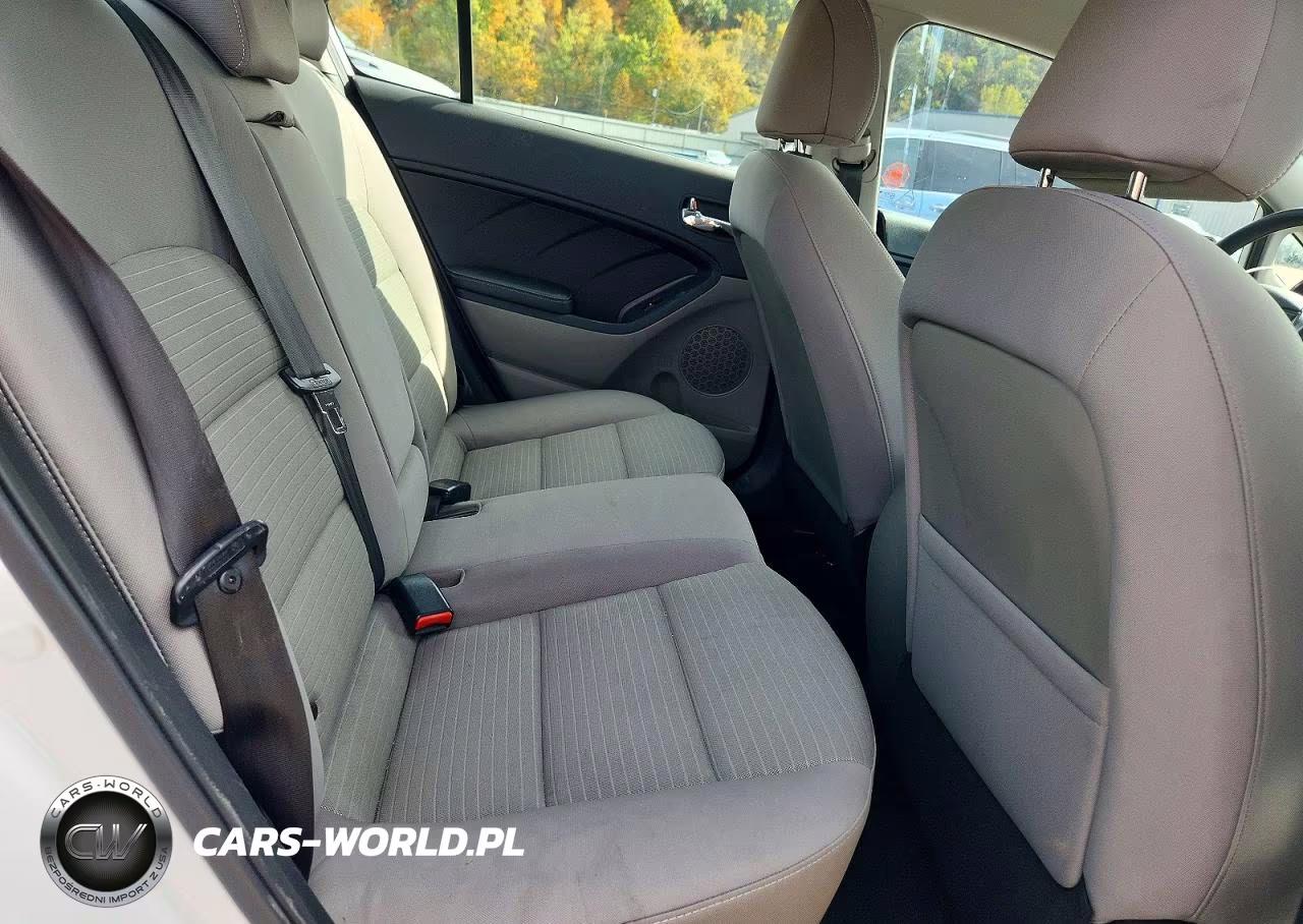 2014 Kia Forte Lx VIN:KNAFX4A68E5212605 - 10