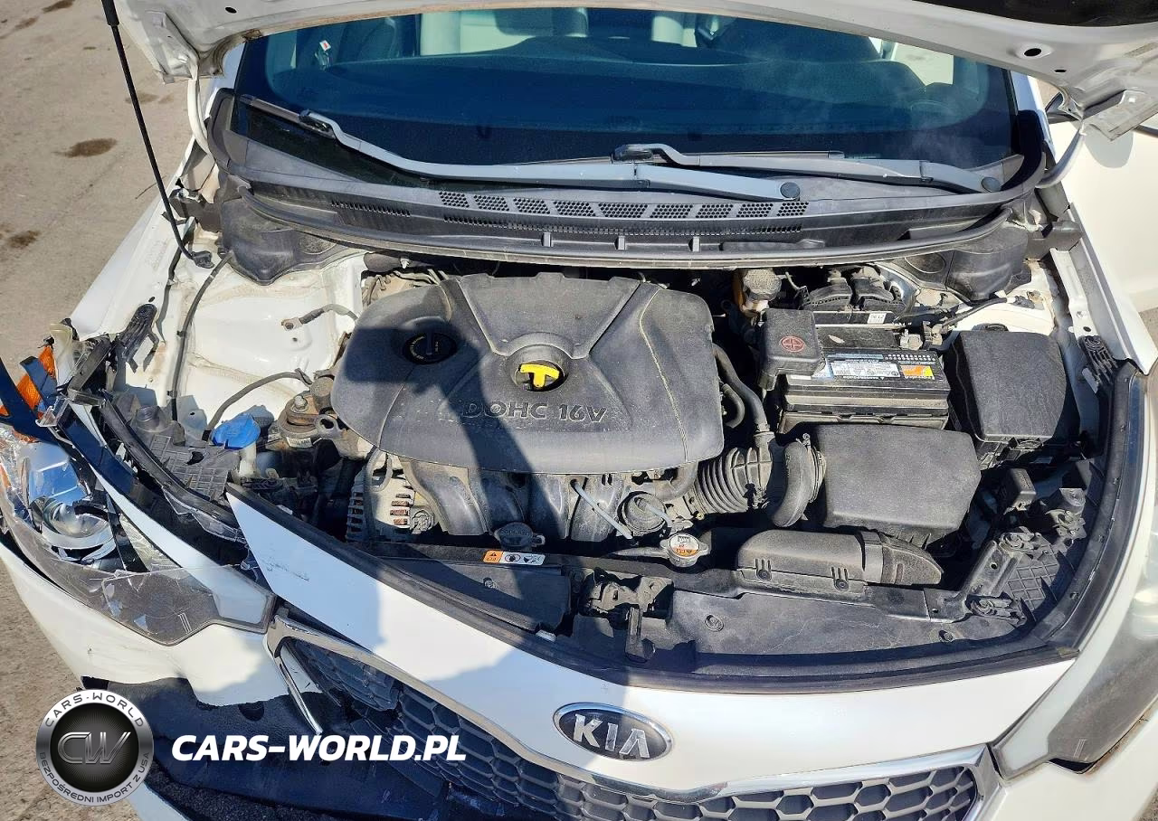 2014 Kia Forte Lx VIN:KNAFX4A68E5212605 - 11