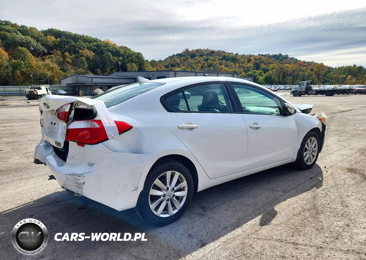 2014 Kia Forte Lx VIN:KNAFX4A68E5212605 - 3