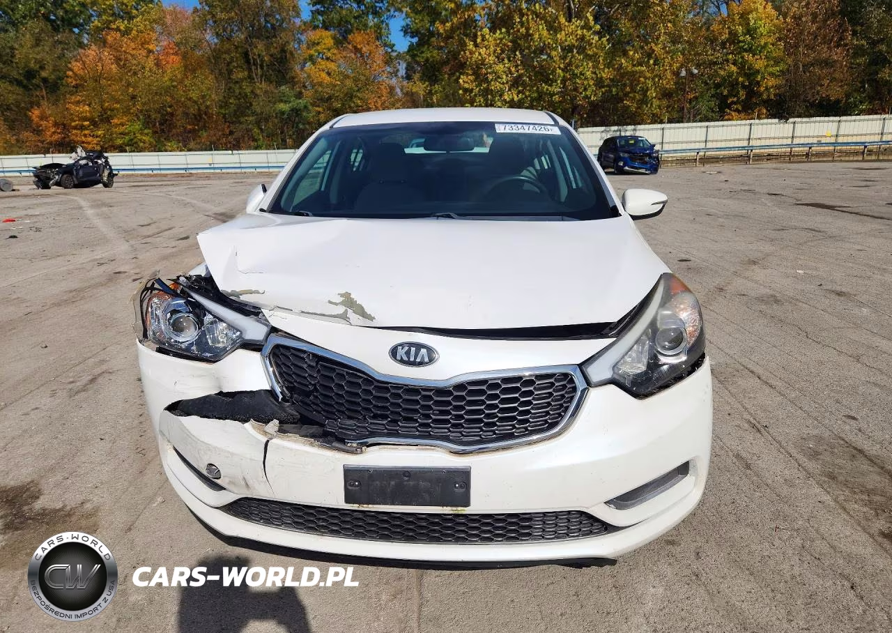 2014 Kia Forte Lx VIN:KNAFX4A68E5212605 - 5