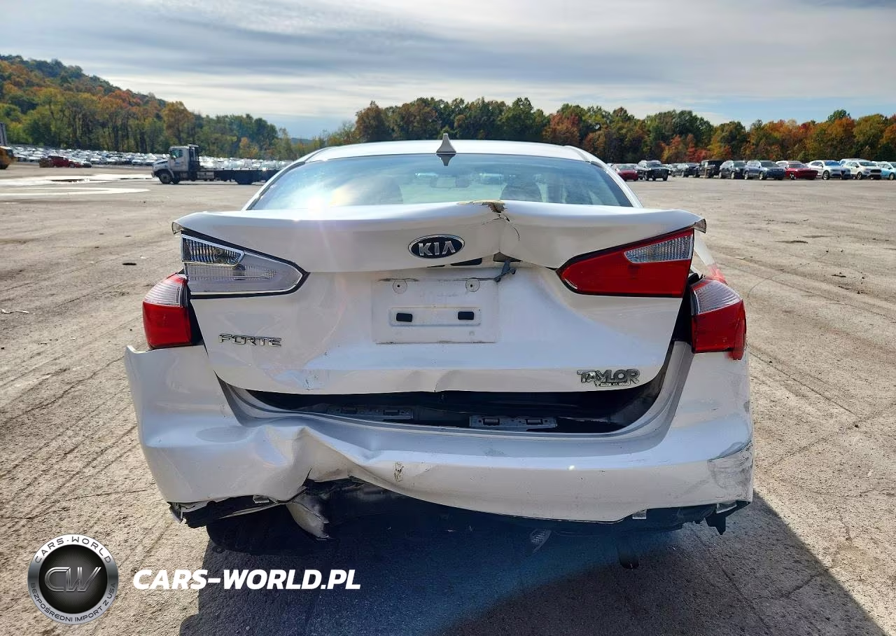 2014 Kia Forte Lx VIN:KNAFX4A68E5212605 - 6