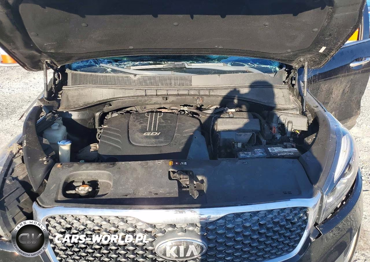 KIA SORENTO LX VIN:5XYPGDA55JG417511 - 12