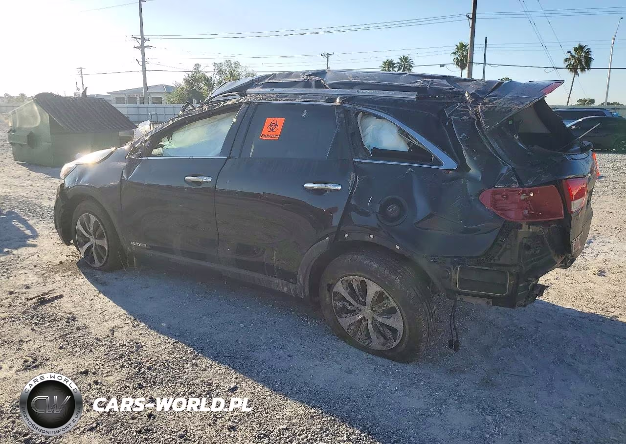 KIA SORENTO LX VIN:5XYPGDA55JG417511 - 2
