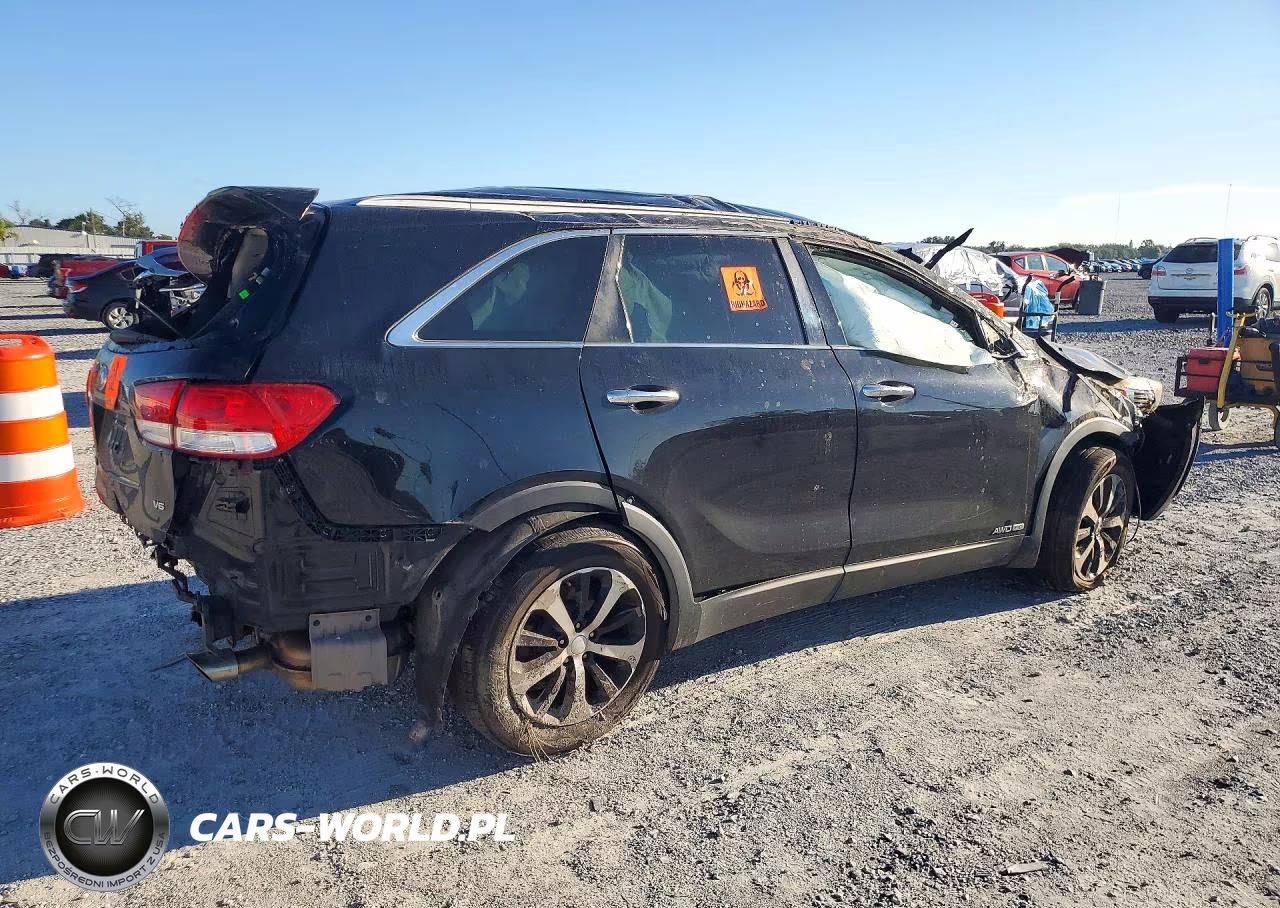 KIA SORENTO LX VIN:5XYPGDA55JG417511 - 3