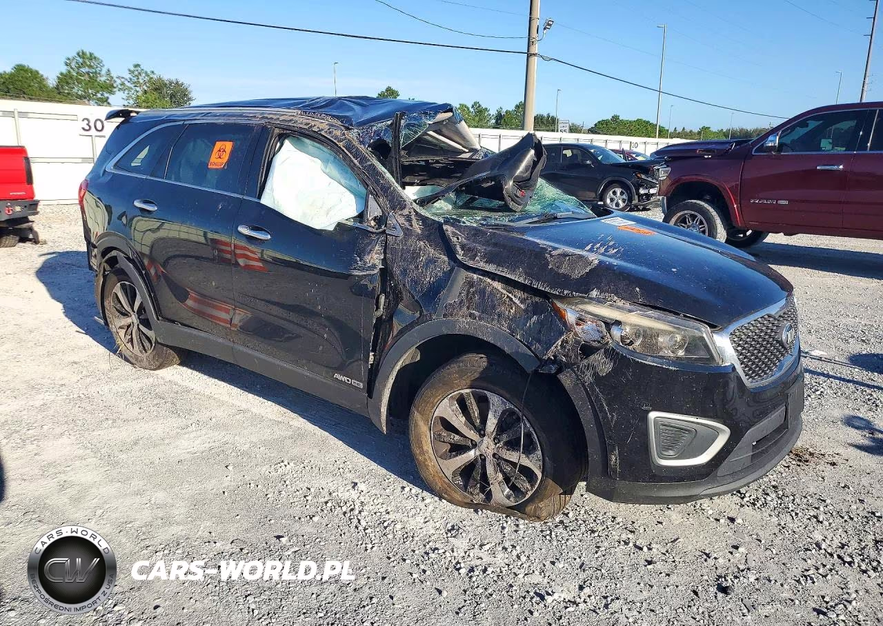 KIA SORENTO LX VIN:5XYPGDA55JG417511 - 4