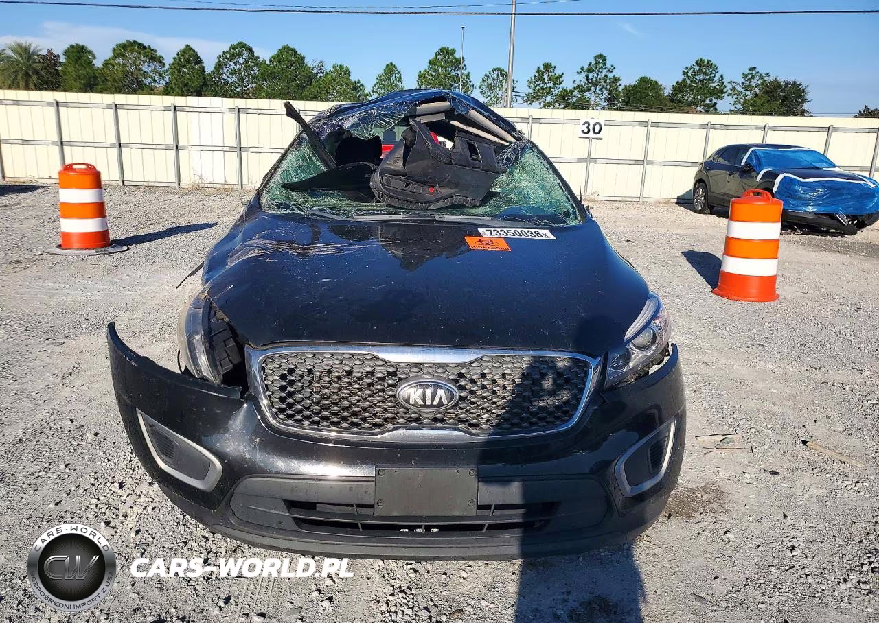 KIA SORENTO LX VIN:5XYPGDA55JG417511 - 5