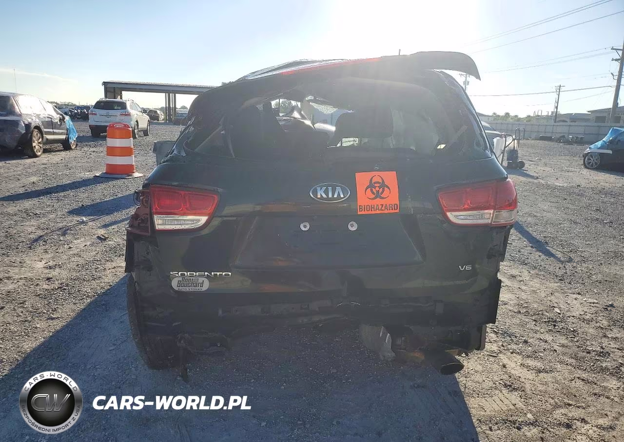 KIA SORENTO LX VIN:5XYPGDA55JG417511 - 6
