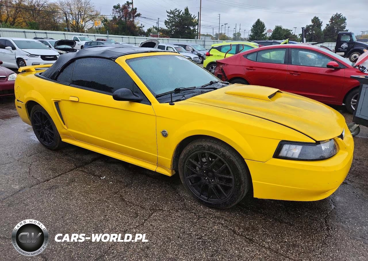 2004 Ford Mustang VIN:1FAFP44654F233991 - 4
