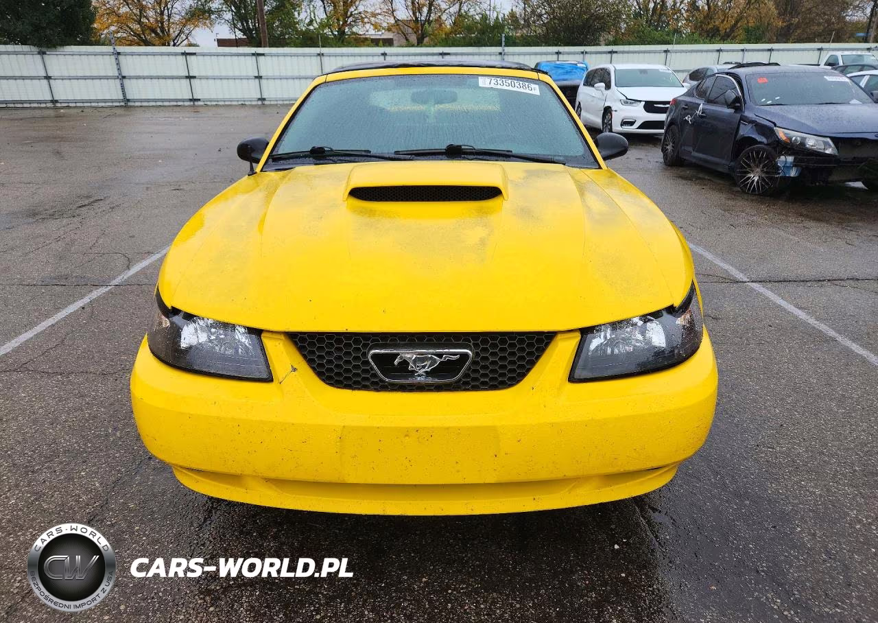 2004 Ford Mustang VIN:1FAFP44654F233991 - 5