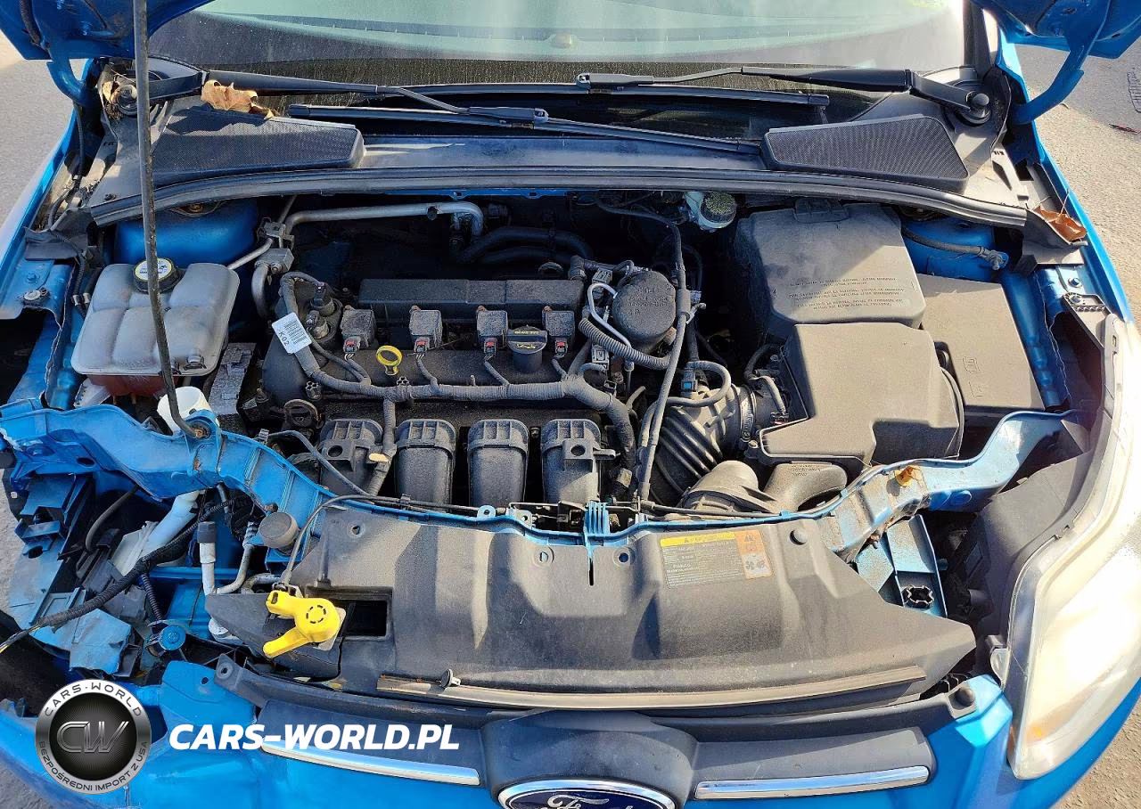 2013 Ford Focus Se VIN:1FADP3K20DL198490 - 11