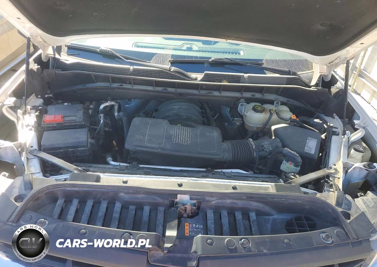 2019 Chevrolet Silverado K1500 Lt VIN:3GCUYDED2KG123553 - 11