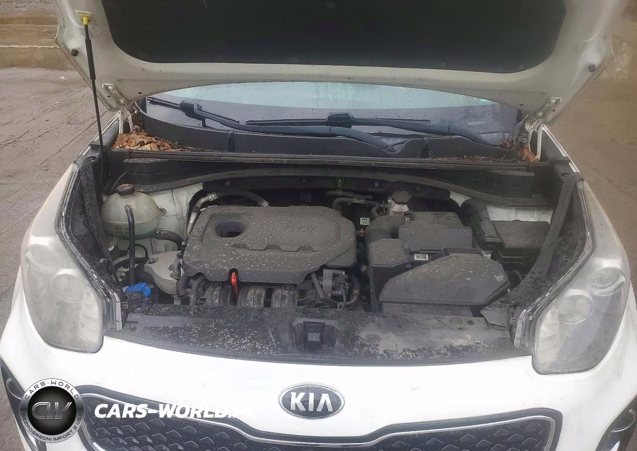 2018 Kia Sportage Lx VIN:KNDPMCAC1J7393870 - 12