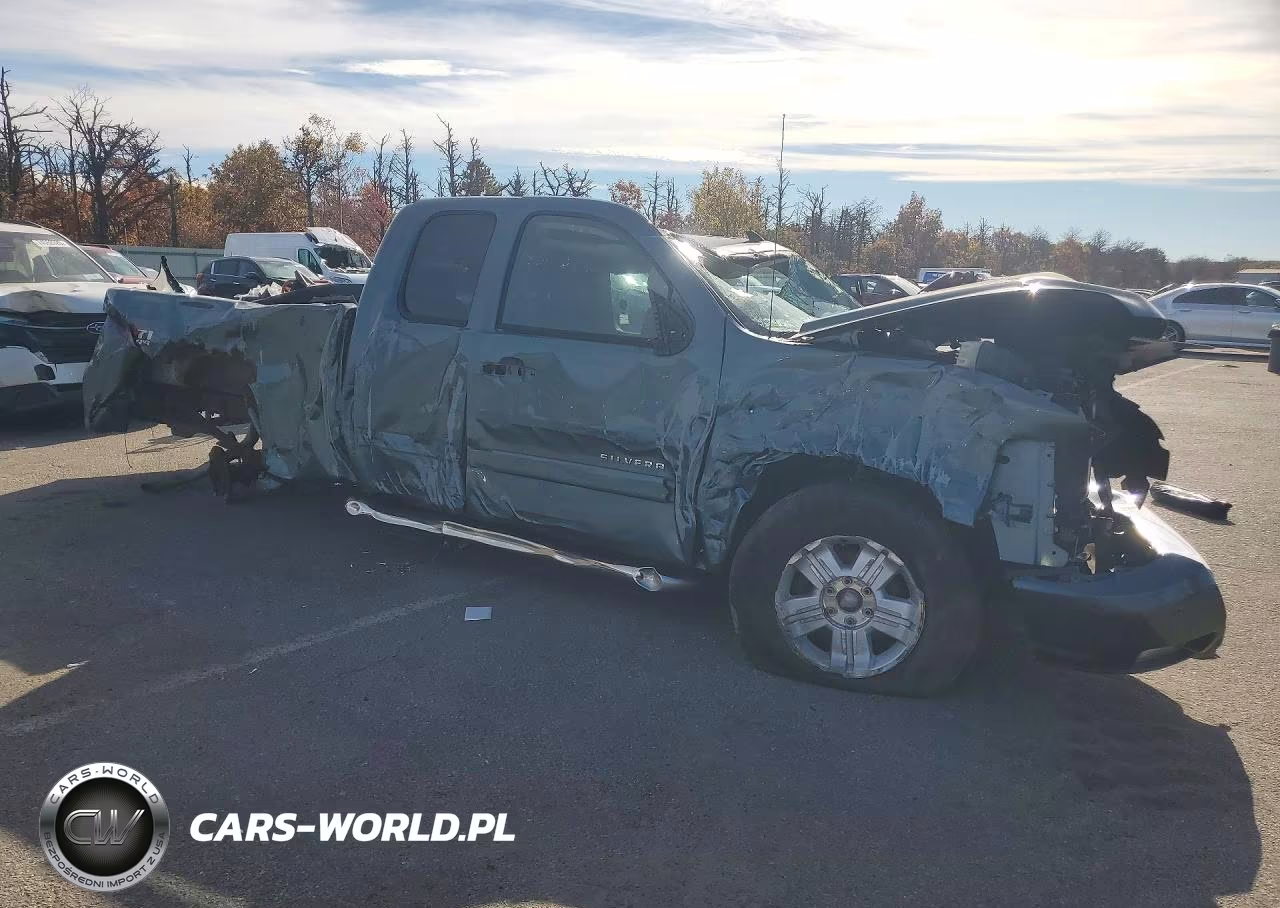 2007 Chevrolet Silverado K1500 VIN:1GCEK19J57Z580868 - 4