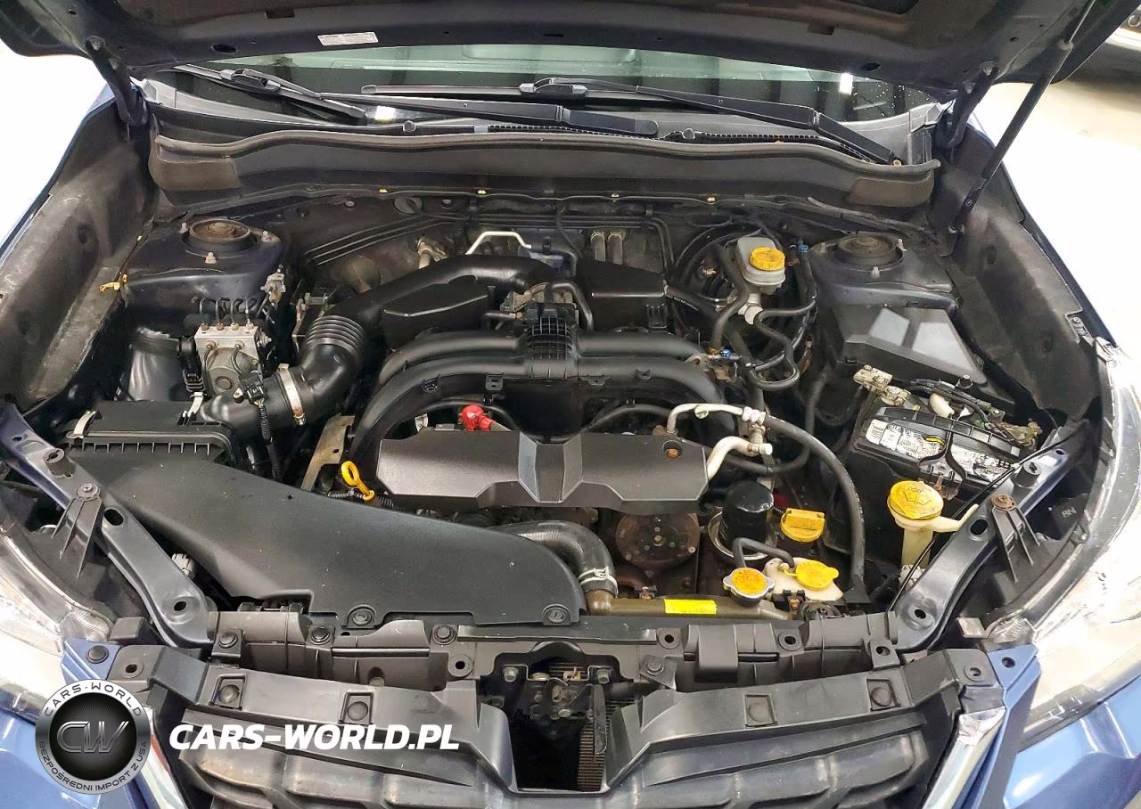2017 Subaru Forester 2.5I VIN:JF2SJABC6HH459387 - 11