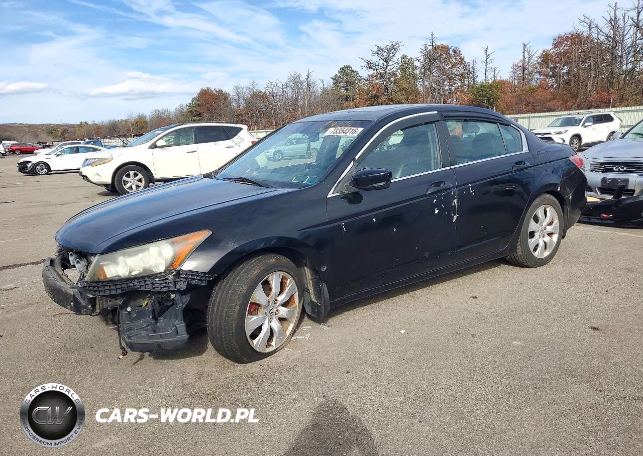 2010 Honda Accord Exl VIN:1HGCP2F82AA177891 - 1