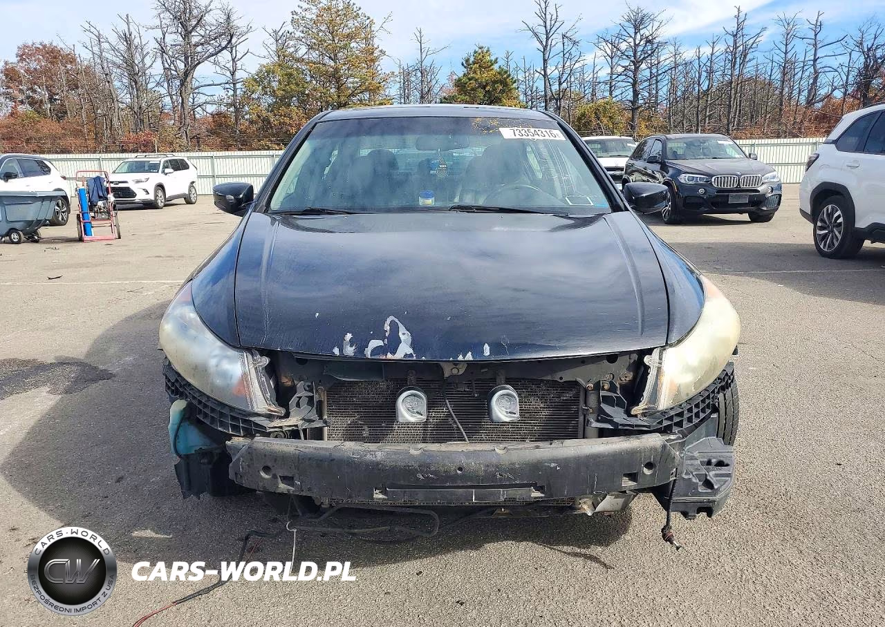 2010 Honda Accord Exl VIN:1HGCP2F82AA177891 - 5