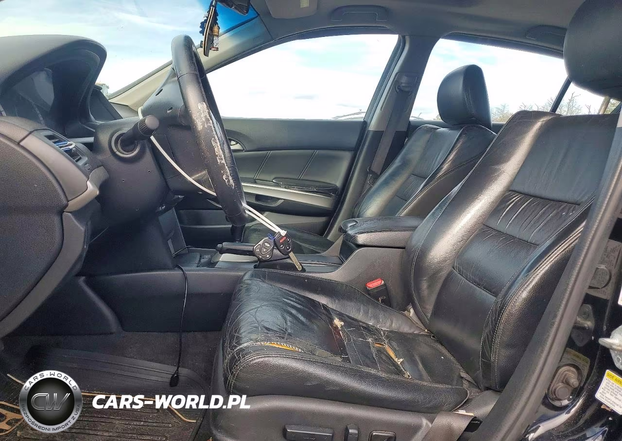2010 Honda Accord Exl VIN:1HGCP2F82AA177891 - 7
