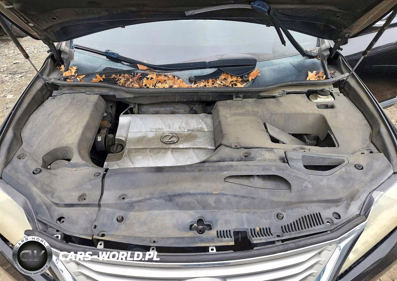 2013 Lexus Rx 350 Base VIN:2T2BK1BAXDC176852 - 12
