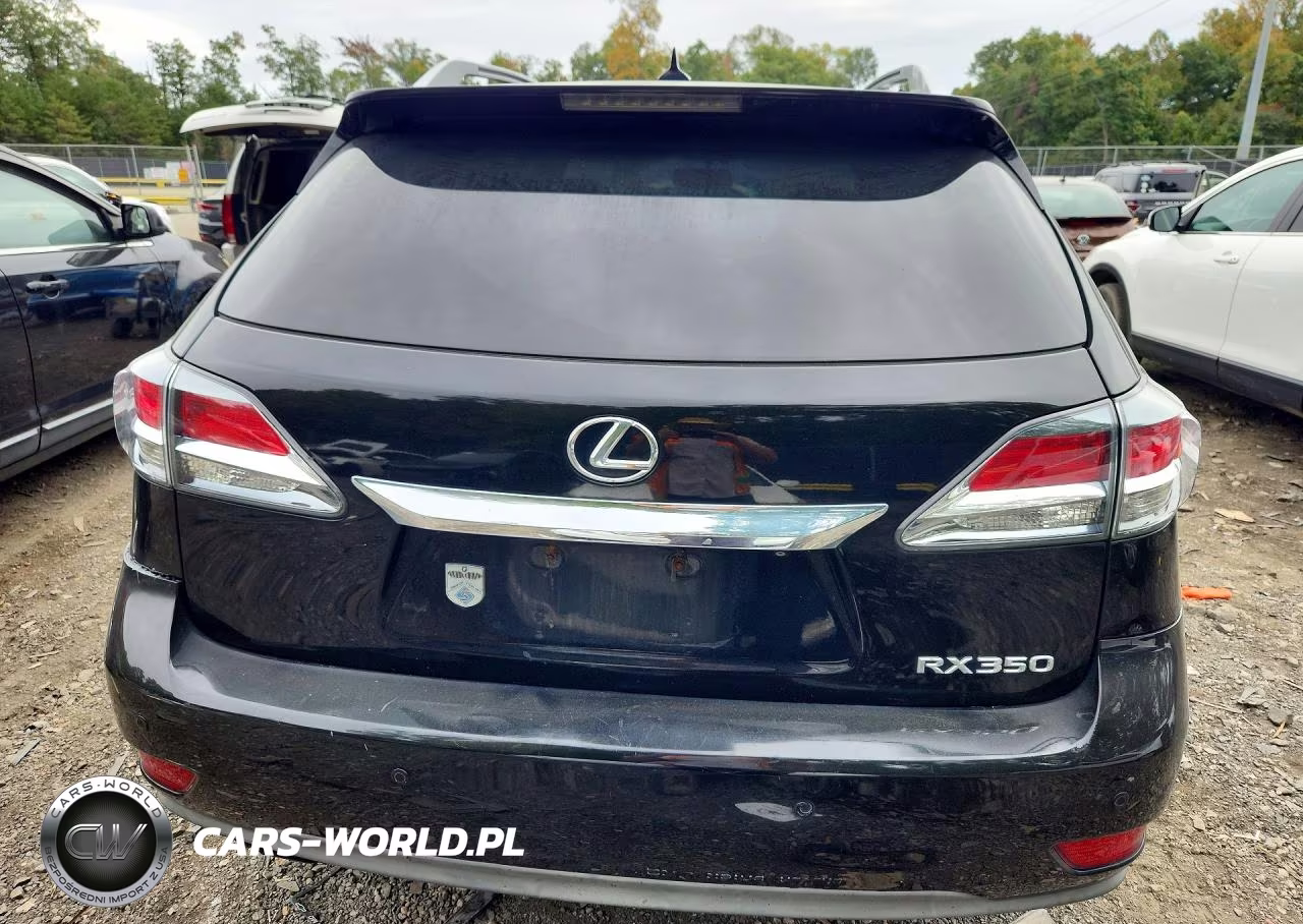 2013 Lexus Rx 350 Base VIN:2T2BK1BAXDC176852 - 6