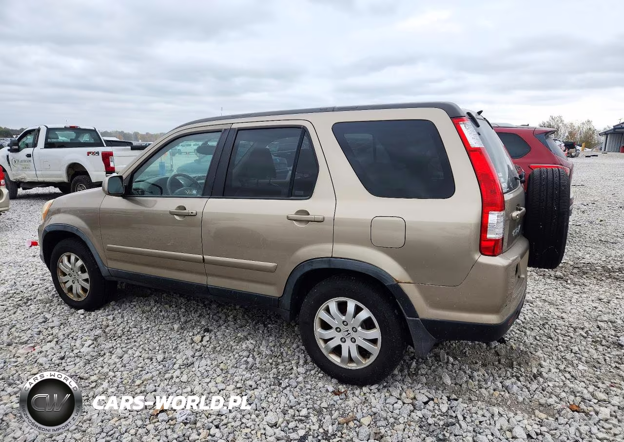 2005 Honda Cr-V Se VIN:JHLRD78985C061970 - 2