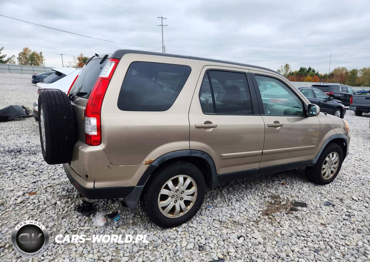 2005 Honda Cr-V Se VIN:JHLRD78985C061970 - 3