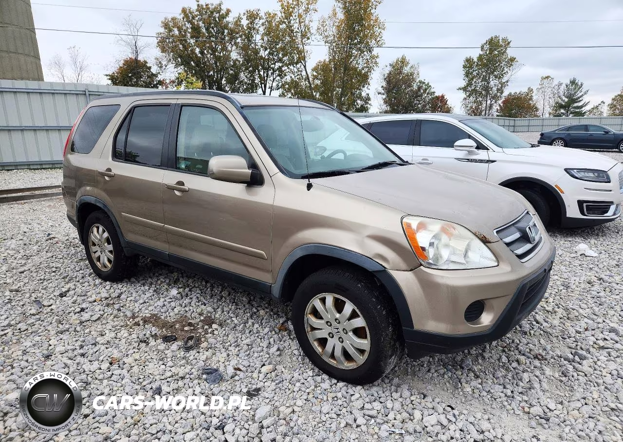 2005 Honda Cr-V Se VIN:JHLRD78985C061970 - 4