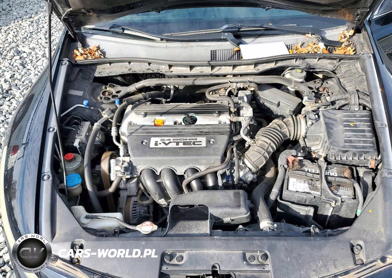 2008 Honda Accord Exl VIN:1HGCS12808A028730 - 11