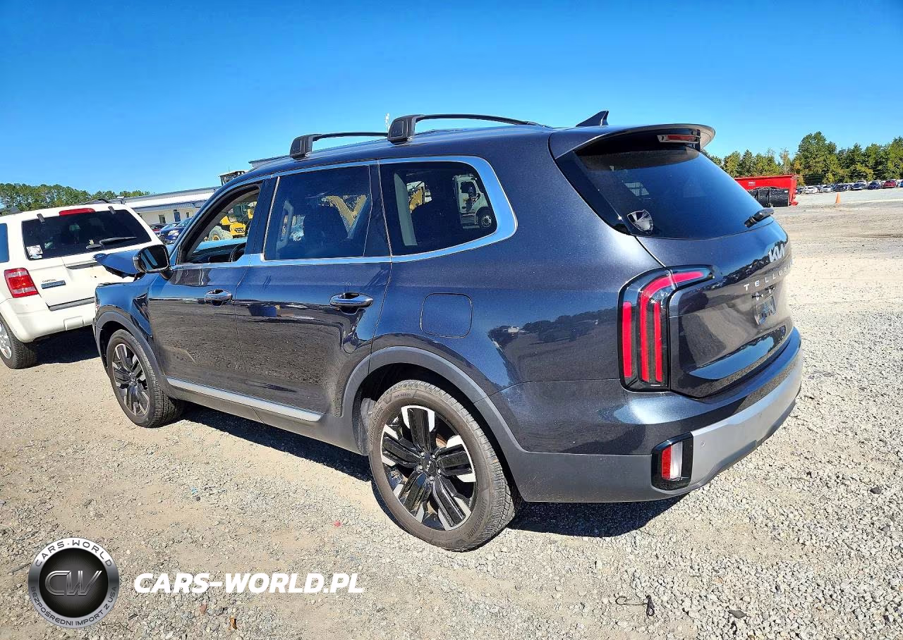 2023 Kia Telluride Sx-Prestige VIN:5XYP5DGC4PG326573 - 2