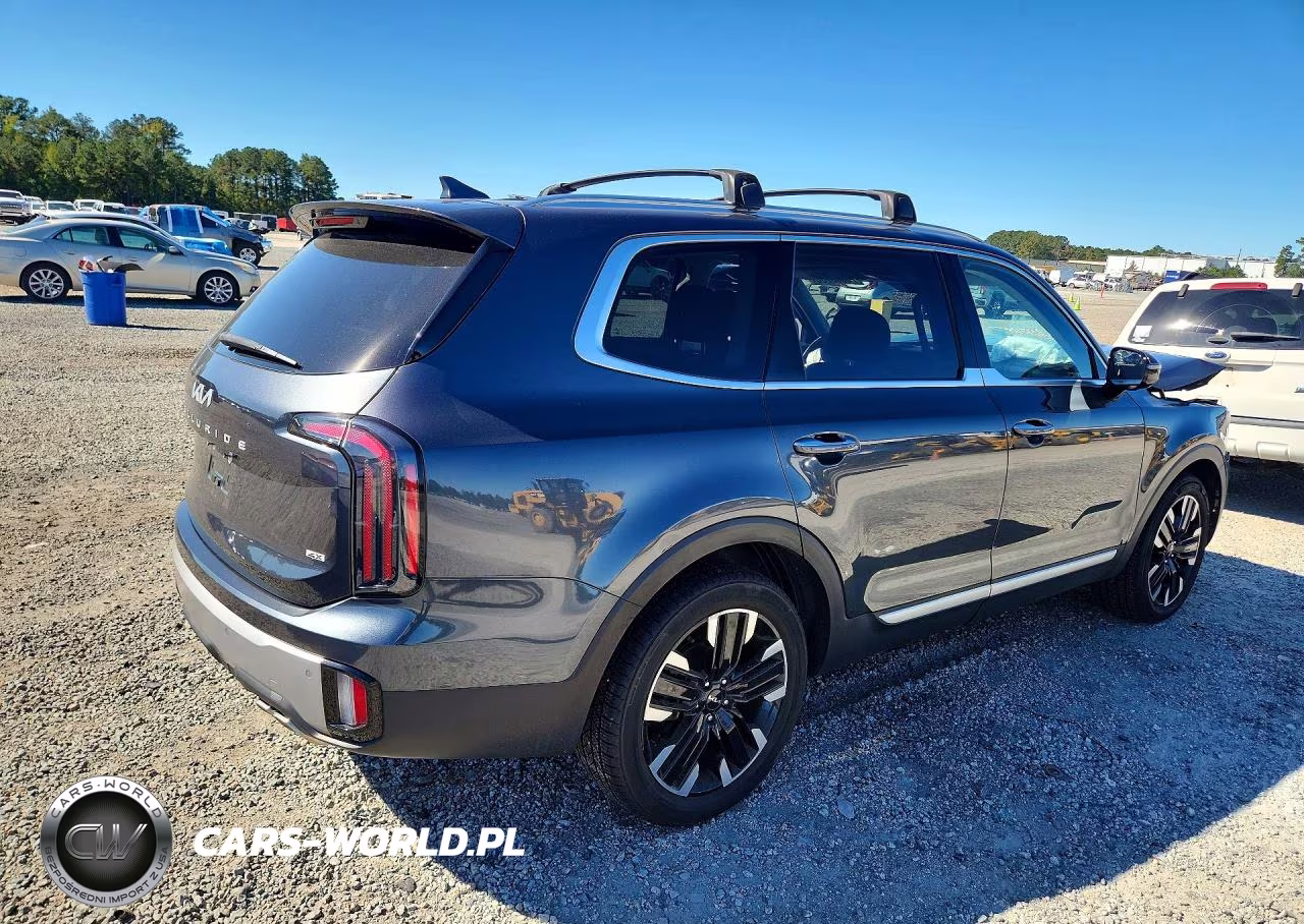 2023 Kia Telluride Sx-Prestige VIN:5XYP5DGC4PG326573 - 3