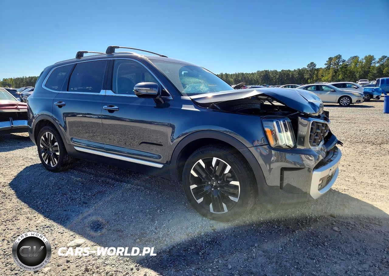 2023 Kia Telluride Sx-Prestige VIN:5XYP5DGC4PG326573 - 4