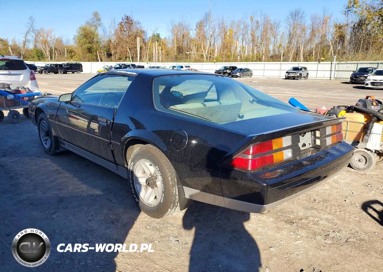 1984 Chevrolet Camaro VIN:1G1AP87G0EN196428 - 2