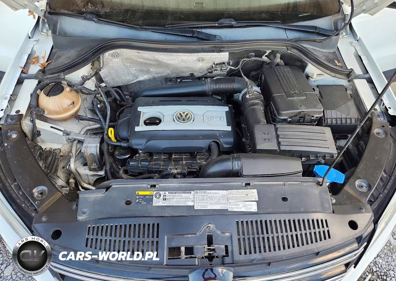 2016 Volkswagen Tiguan S VIN:WVGBV7AX7GW019193 - 12