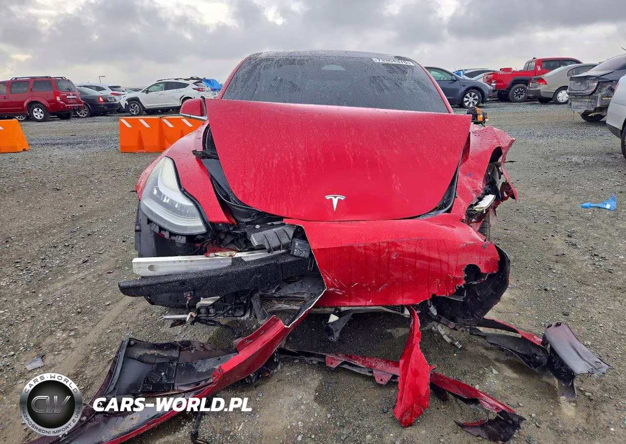 2019 Tesla Model 3 Long Range-Mid Range-Standard Range-Standard Range Plus VIN:5YJ3E1EAXKF402182 - 5