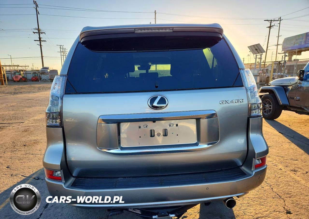 2020 Lexus Gx 460 Premium VIN:JTJAM7BX6L5262458 - 6