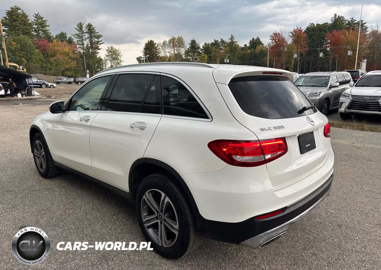 2019 Mercedes-Benz Glc 300 4Matic VIN:WDC0G4KB5KV185096 - 3