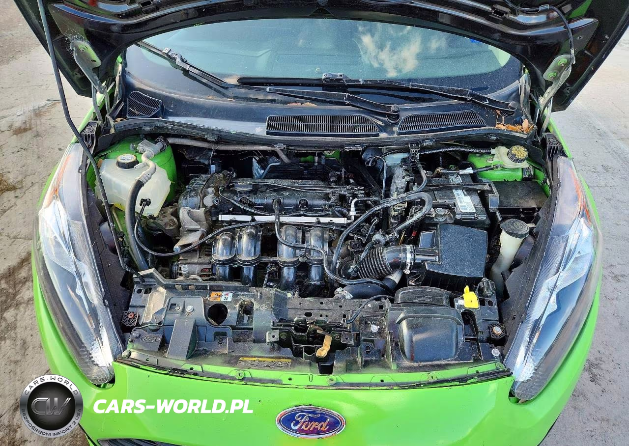 2014 Ford Fiesta Se VIN:3FADP4BJ9EM123154 - 11
