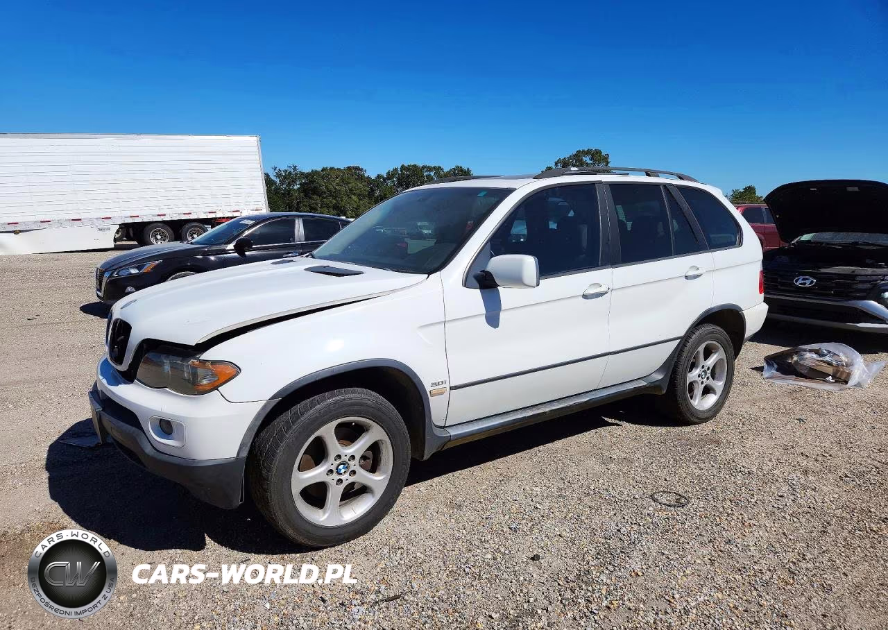 2006 BMW X5 3.0I VIN:5UXFA135X6LY34206 - 1