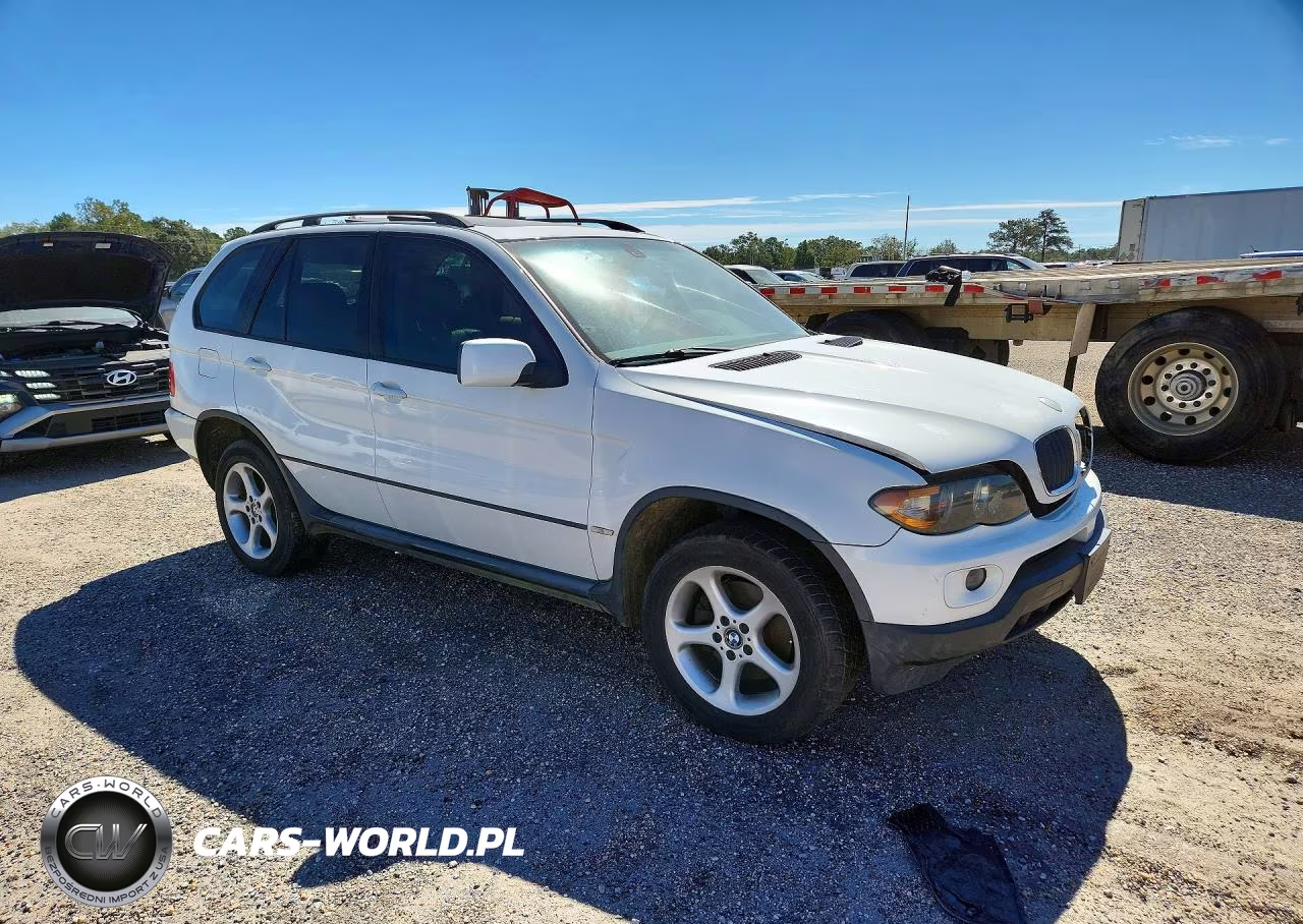 2006 BMW X5 3.0I VIN:5UXFA135X6LY34206 - 4