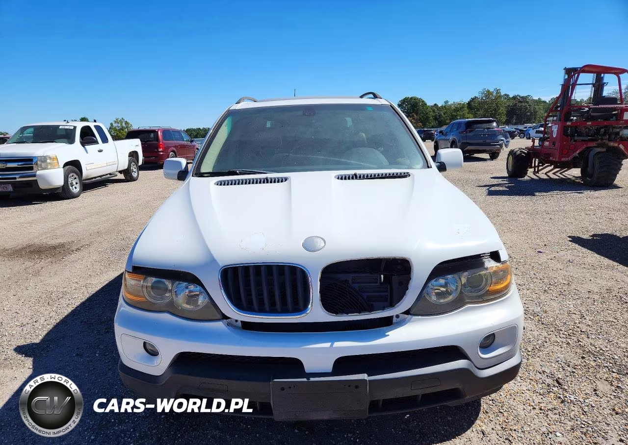 2006 BMW X5 3.0I VIN:5UXFA135X6LY34206 - 5