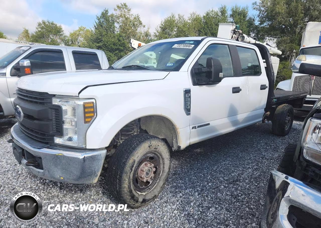 2019 Ford F250 Super Duty VIN:1FD7W2BT2KEE14592 - 1