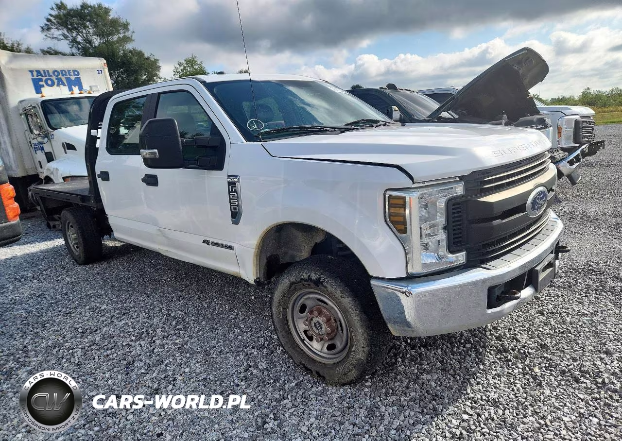 2019 Ford F250 Super Duty VIN:1FD7W2BT2KEE14592 - 4