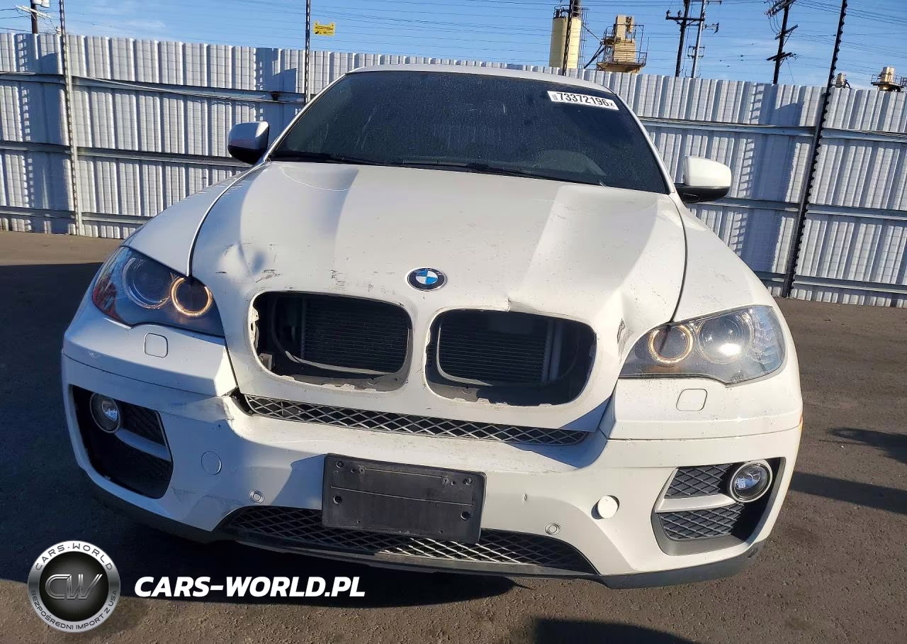 2013 BMW X6 xDrive35I VIN:5UXFG2C5XDL783985 - 5