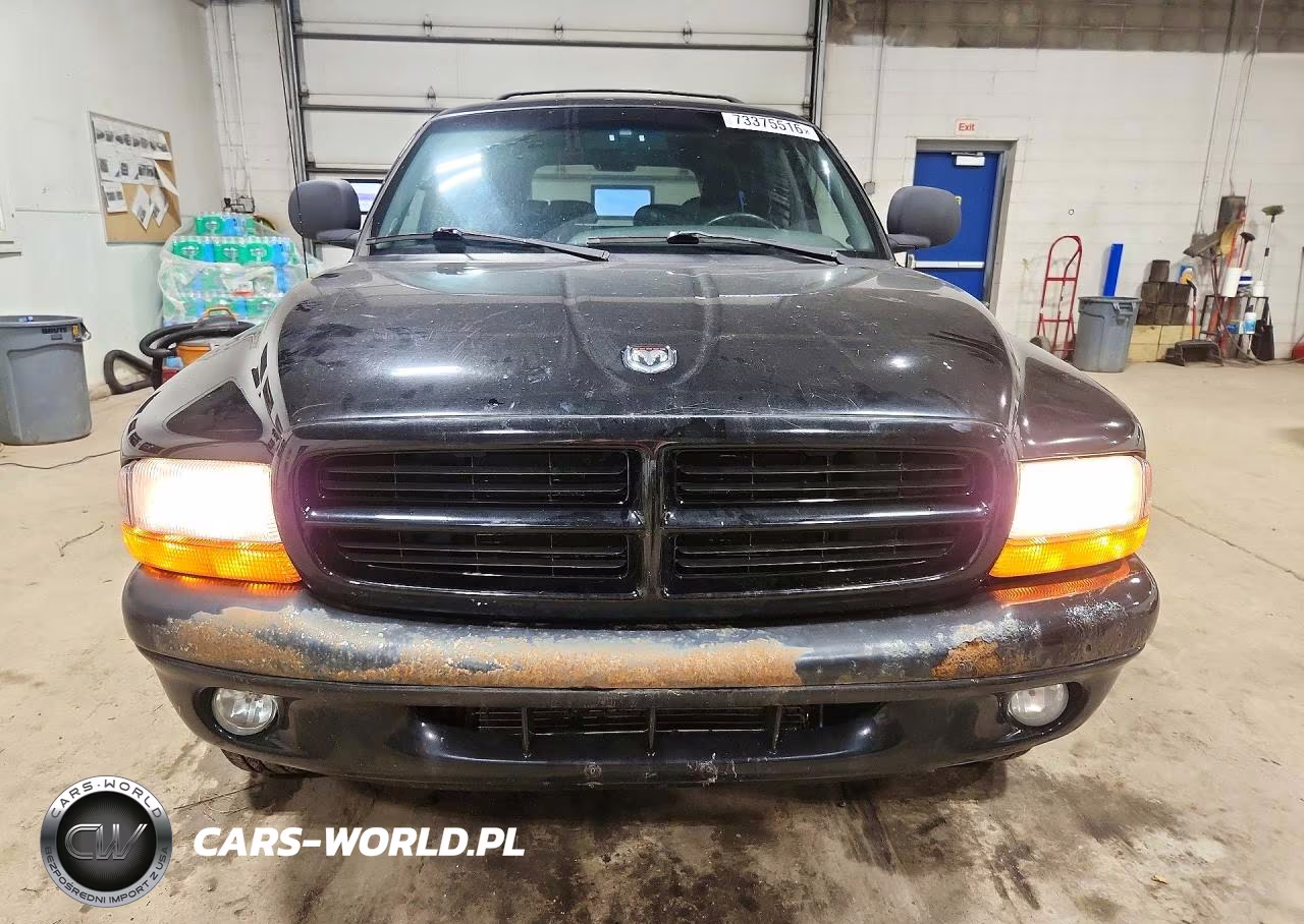 1999 Dodge Durango VIN:1B4HS28Y7XF528156 - 5