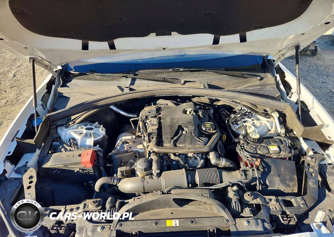 2018 Jaguar F-Pace 25T R-Sport VIN:SADCL2FXXJA273662 - 12