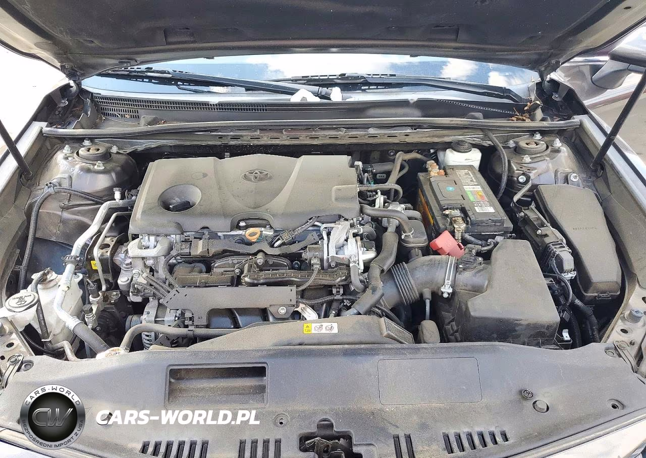 2019 Toyota Camry Le VIN:4T1B11HK4KU799970 - 11