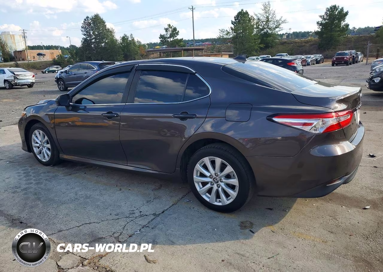 2019 Toyota Camry Le VIN:4T1B11HK4KU799970 - 2